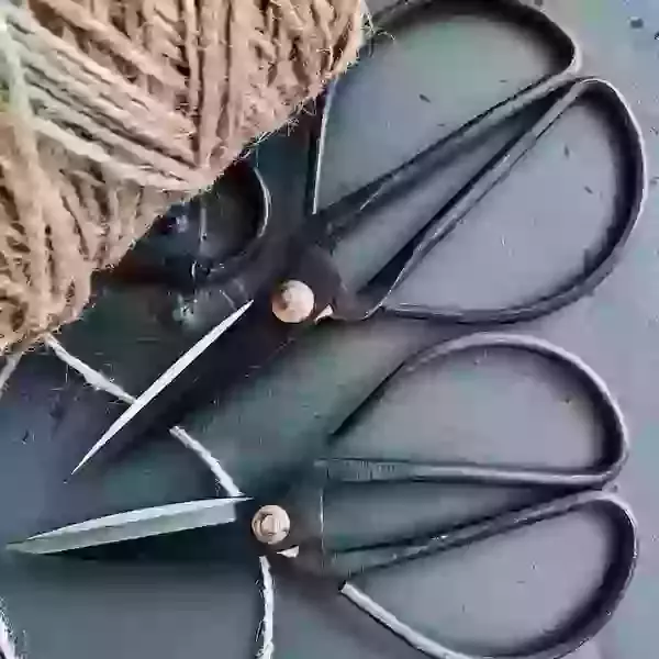 Iron Scissors